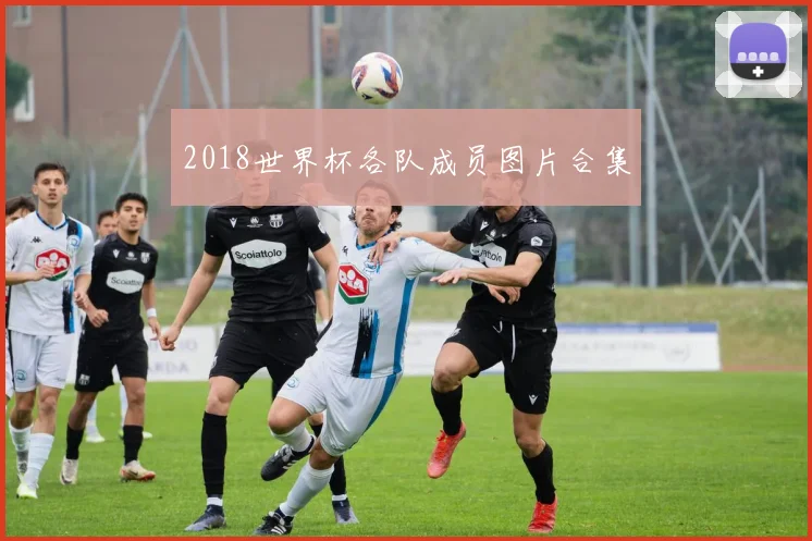 2018世界杯各队成员图片合集