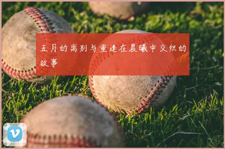 五月的离别与重逢在晨曦中交织的故事