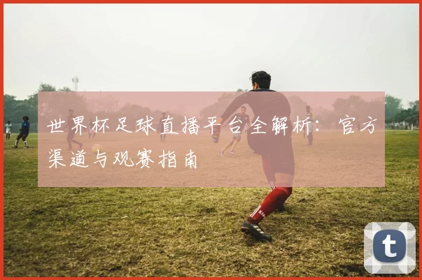 世界杯足球直播平台全解析：官方渠道与观赛指南