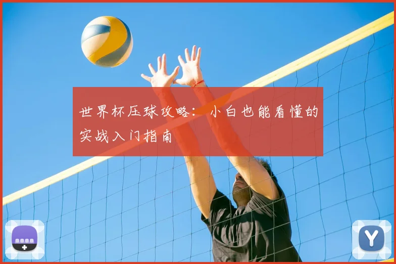 世界杯压球攻略:小白也能看懂的实战入门指南