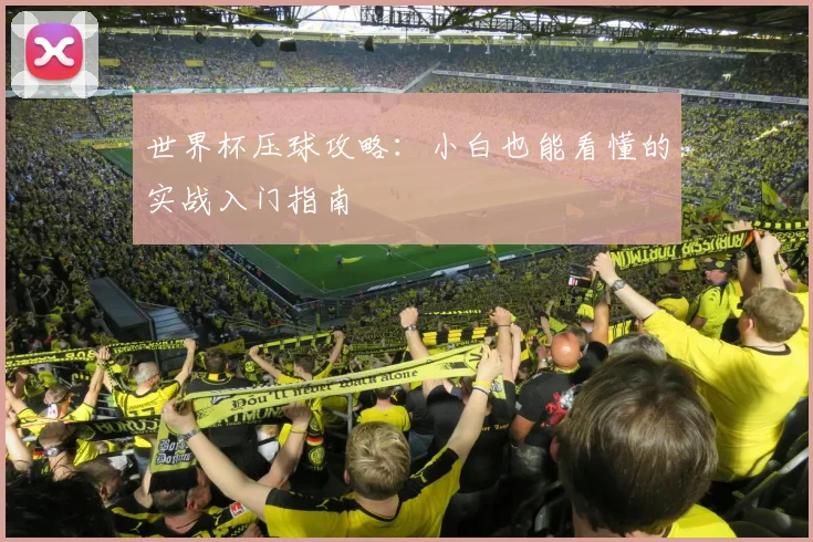 世界杯压球攻略:小白也能看懂的实战入门指南