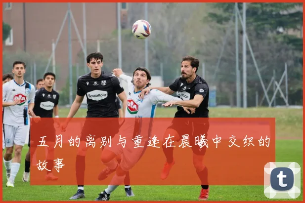 五月的离别与重逢在晨曦中交织的故事