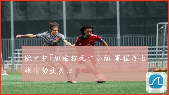 欧洲杯F组被称死亡小组 赛程与出线形势受关注