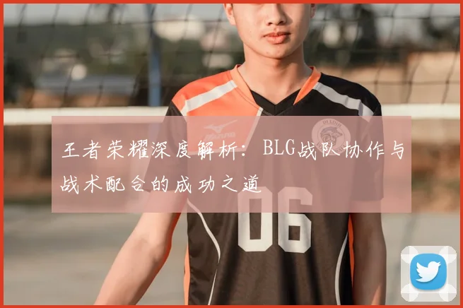 王者荣耀深度解析：BLG战队协作与战术配合的成功之道
