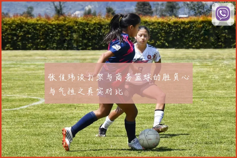 张佳玮谈打架与商务篮球的胜负心与气性之真实对比